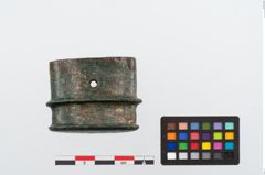 Foto von Bronzeortband (NHMW-PRAE-024490a2)